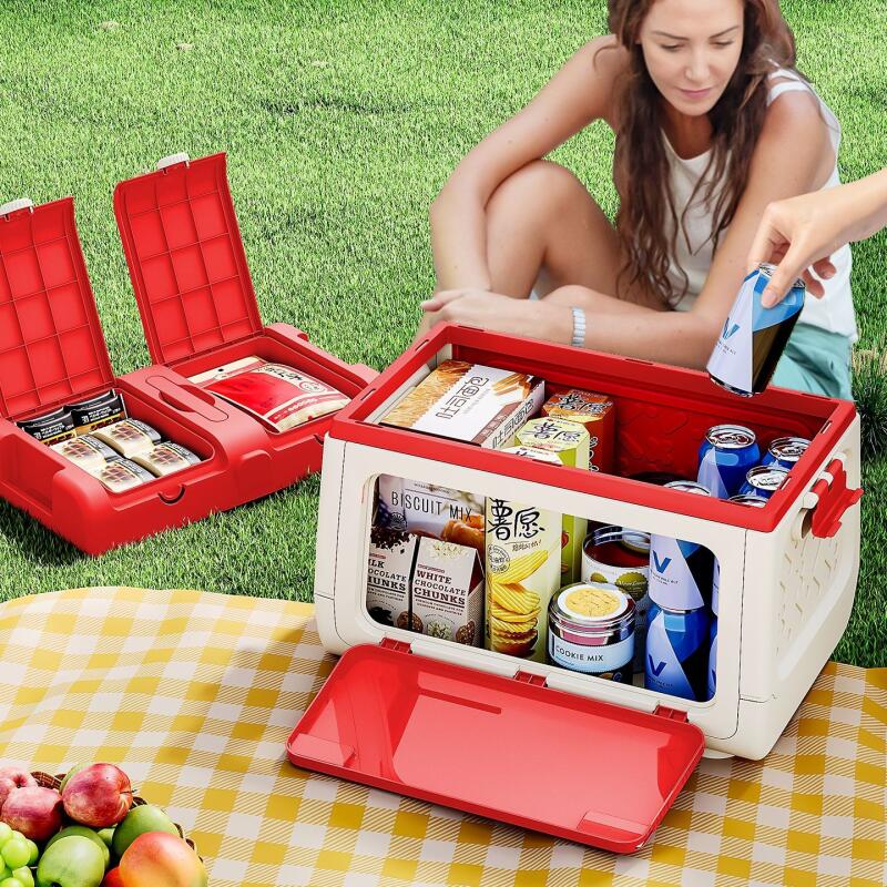 Disney Genuine Authorized Outd - Outdoor Camping Movies 评论和价格